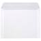 JAM Paper 9.5" x 12.625" Translucent Clear Vellum Envelopes, 25ct.